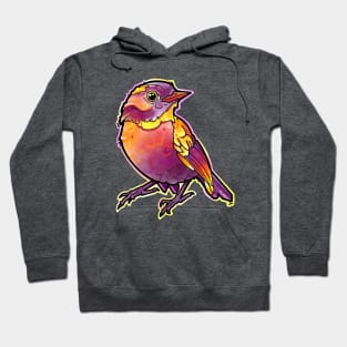 watercolor bird, cute and colorful Hoodie